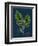 Rubus Saxatilis; Stone Bramble-null-Framed Premium Giclee Print