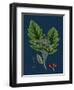 Rubus Saxatilis; Stone Bramble-null-Framed Premium Giclee Print