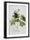 Rubus-Georg Dionysius Ehret-Framed Giclee Print