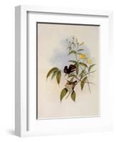 Ruby and Topaz, Chrysolampis Moschitus-John Gould-Framed Giclee Print