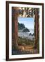 Ruby Beach and Forest - Washington Coast-Lantern Press-Framed Art Print