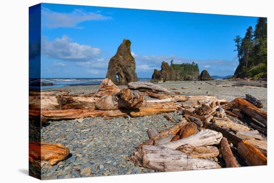 Ruby Beach at Olympic National Park, Washington, USA-null-Stretched Canvas