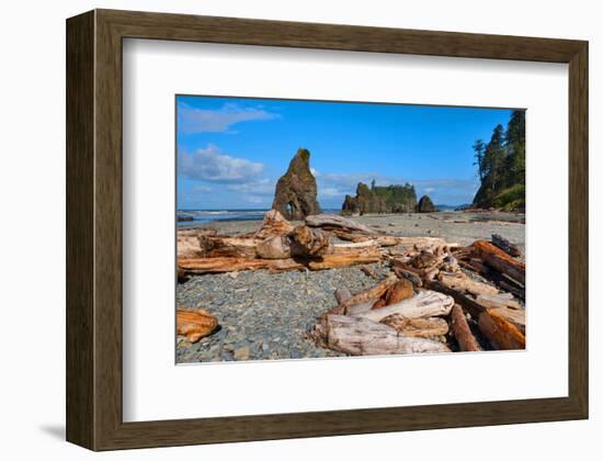 Ruby Beach at Olympic National Park, Washington, USA-null-Framed Art Print