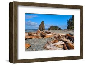 Ruby Beach at Olympic National Park, Washington, USA-null-Framed Art Print