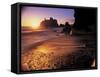 Ruby Beach at Sunset-Peter Adams-Framed Stretched Canvas