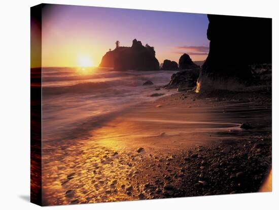 Ruby Beach at Sunset-Peter Adams-Stretched Canvas