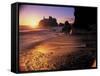 Ruby Beach at Sunset-Peter Adams-Framed Stretched Canvas