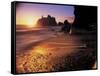 Ruby Beach at Sunset-Peter Adams-Framed Stretched Canvas