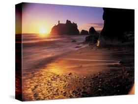 Ruby Beach at Sunset-Peter Adams-Stretched Canvas