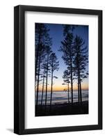Ruby Beach, Forks, Washington State, USA. Olympic National Park-Jolly Sienda-Framed Photographic Print
