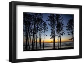 Ruby Beach, Forks, Washington State, USA. Olympic National Park-Jolly Sienda-Framed Photographic Print