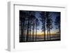 Ruby Beach, Forks, Washington State, USA. Olympic National Park-Jolly Sienda-Framed Photographic Print