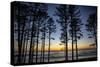 Ruby Beach, Forks, Washington State, USA. Olympic National Park-Jolly Sienda-Stretched Canvas