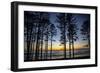 Ruby Beach, Forks, Washington State, USA. Olympic National Park-Jolly Sienda-Framed Photographic Print