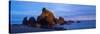 Ruby Beach Olympic N P-Steve Gadomski-Stretched Canvas