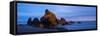 Ruby Beach Olympic N P-Steve Gadomski-Framed Stretched Canvas