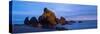 Ruby Beach Olympic N P-Steve Gadomski-Stretched Canvas