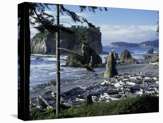 Ruby Beach, Olympic National Park, Washington, USA-William Sutton-Stretched Canvas