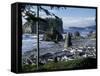 Ruby Beach, Olympic National Park, Washington, USA-William Sutton-Framed Stretched Canvas