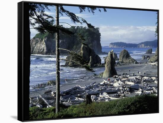 Ruby Beach, Olympic National Park, Washington, USA-William Sutton-Framed Stretched Canvas