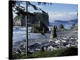 Ruby Beach, Olympic National Park, Washington, USA-William Sutton-Stretched Canvas