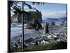 Ruby Beach, Olympic National Park, Washington, USA-William Sutton-Mounted Premium Photographic Print