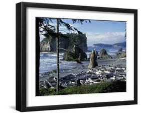 Ruby Beach, Olympic National Park, Washington, USA-William Sutton-Framed Photographic Print