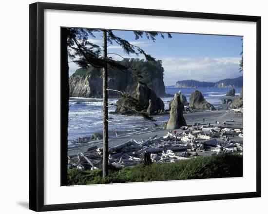 Ruby Beach, Olympic National Park, Washington, USA-William Sutton-Framed Photographic Print