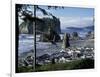 Ruby Beach, Olympic National Park, Washington, USA-William Sutton-Framed Photographic Print