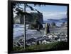 Ruby Beach, Olympic National Park, Washington, USA-William Sutton-Framed Photographic Print