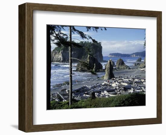 Ruby Beach, Olympic National Park, Washington, USA-William Sutton-Framed Photographic Print