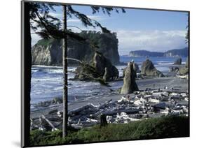 Ruby Beach, Olympic National Park, Washington, USA-William Sutton-Mounted Photographic Print