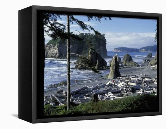 Ruby Beach, Olympic National Park, Washington, USA-William Sutton-Framed Stretched Canvas