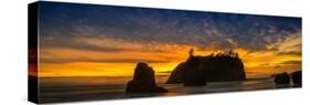 Ruby Beach Olympic National Park-Steve Gadomski-Stretched Canvas