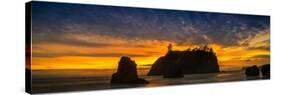 Ruby Beach Olympic National Park-Steve Gadomski-Stretched Canvas