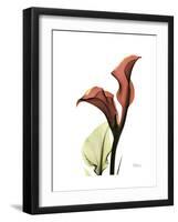 Ruby Calla Lily-Albert Koetsier-Framed Premium Giclee Print