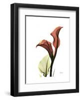 Ruby Calla Lily-Albert Koetsier-Framed Premium Giclee Print