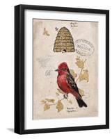 Ruby Collection 1-Chad Barrett-Framed Art Print