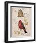 Ruby Collection 1-Chad Barrett-Framed Art Print