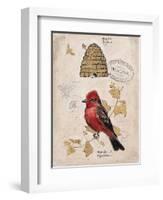 Ruby Collection 1-Chad Barrett-Framed Art Print