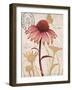 Ruby Collection 6-Chad Barrett-Framed Art Print