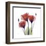 Ruby Gentian-Albert Koetsier-Framed Art Print