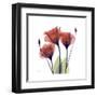 Ruby Gentian-Albert Koetsier-Framed Art Print