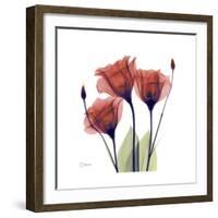 Ruby Gentian-Albert Koetsier-Framed Art Print