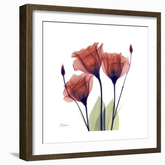 Ruby Gentian-Albert Koetsier-Framed Art Print