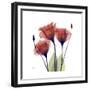 Ruby Gentian-Albert Koetsier-Framed Premium Giclee Print