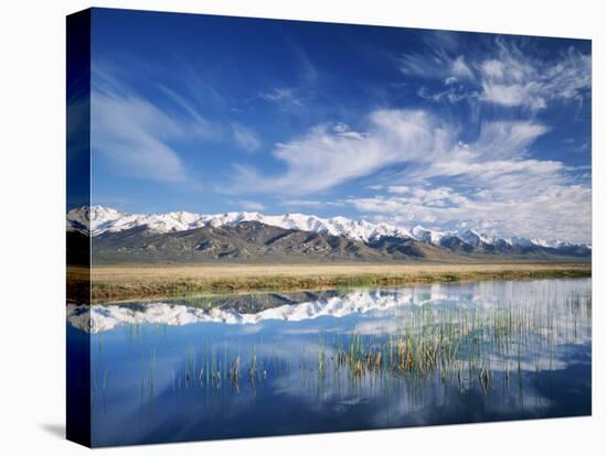 Ruby Mountains and Slough along Franklin Lake, UX Ranch, Great Basin, Nevada, USA-Scott T. Smith-Stretched Canvas