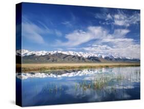 Ruby Mountains and Slough along Franklin Lake, UX Ranch, Great Basin, Nevada, USA-Scott T. Smith-Stretched Canvas