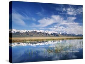 Ruby Mountains and Slough along Franklin Lake, UX Ranch, Great Basin, Nevada, USA-Scott T. Smith-Stretched Canvas