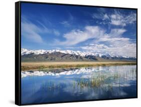 Ruby Mountains and Slough along Franklin Lake, UX Ranch, Great Basin, Nevada, USA-Scott T. Smith-Framed Stretched Canvas